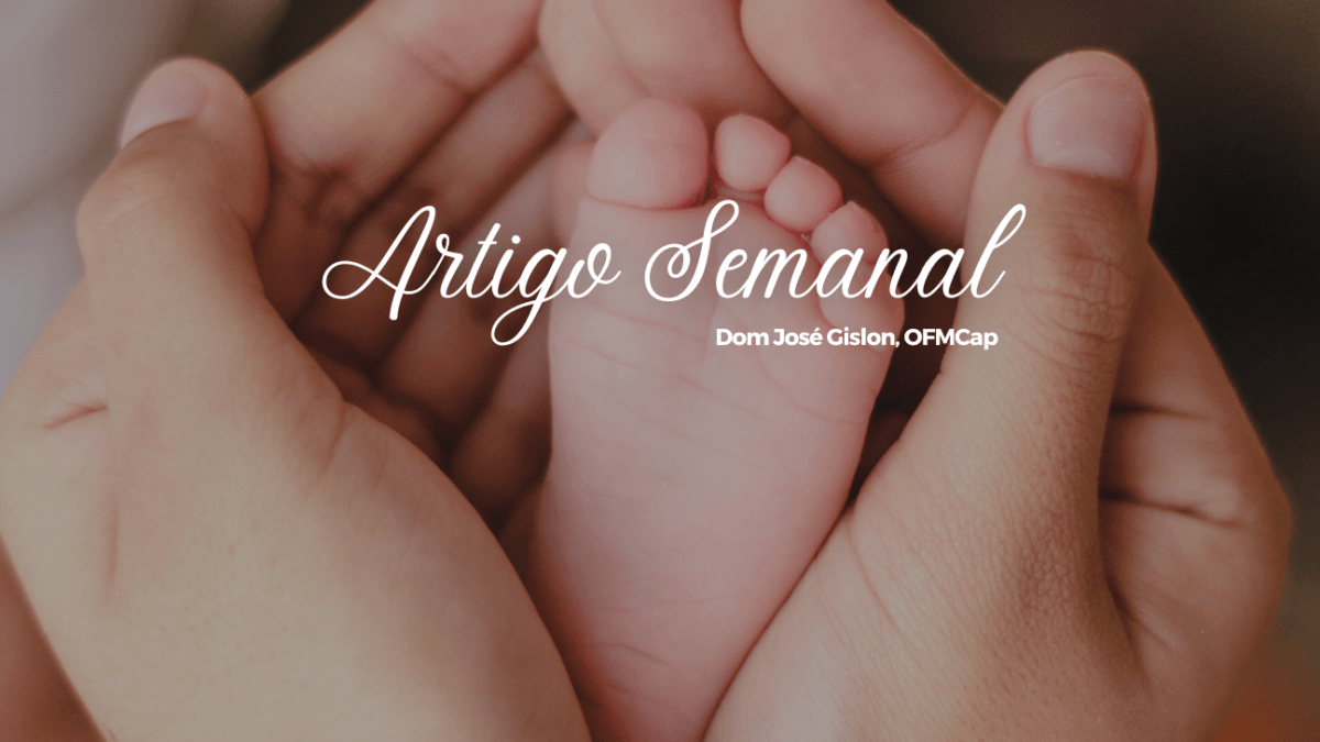 A missão acolher e cuidar da vida com amor