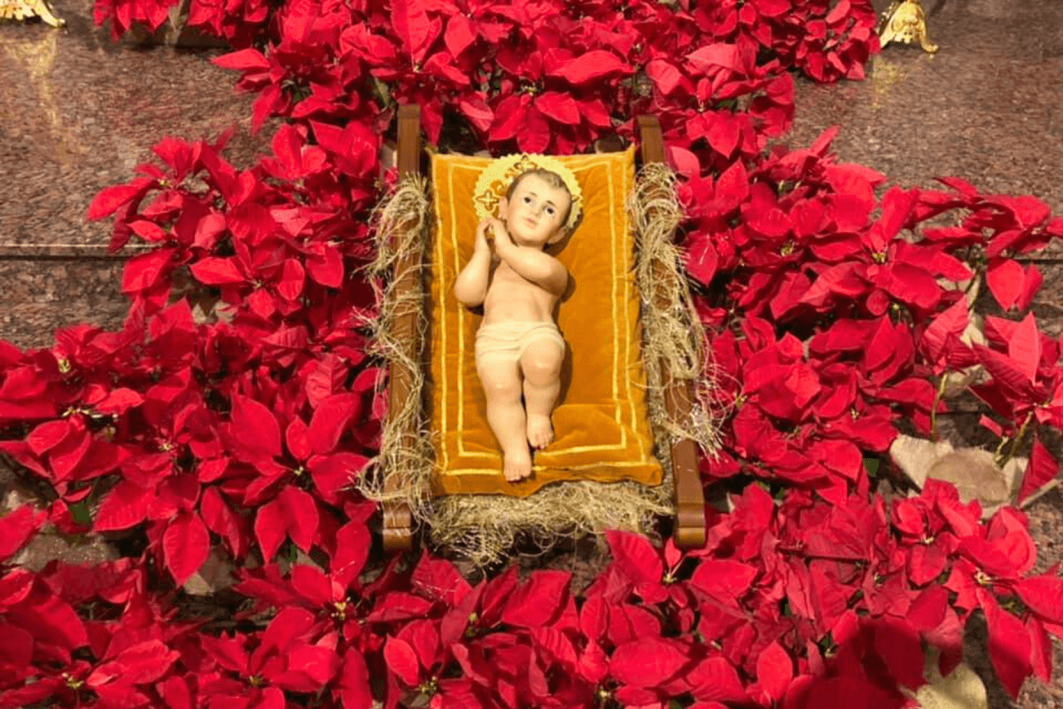 Missas do IV Domingo do Advento terão bênção das imagens do Menino Jesus das famílias, na Catedral de Caxias